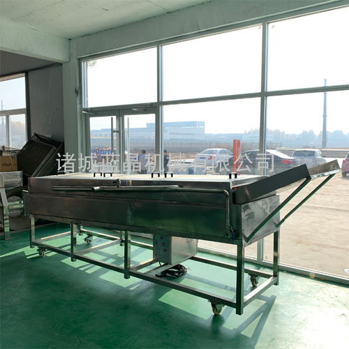 宁夏山药清洗机价格与技术咨询——诸城蓝晶多图详解