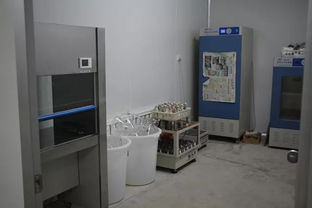 双兴新盛木耳菌包厂 优质菌包热销中，专业技术助力致富路