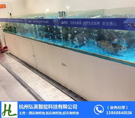 杭州饭店鱼缸 弘英科技专业制作与技术咨询指南